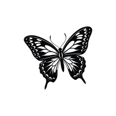 butterfly on white background. vector Butterfly. 