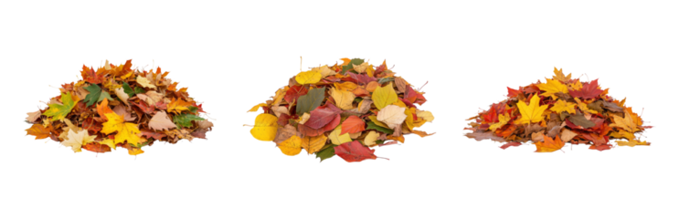 Autumn Leaves Heap on White Isolated on transparent background