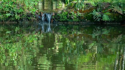 garden vegetation with flowers reflected distorted in still waters of lake water surface