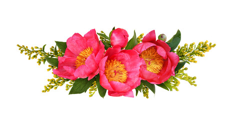 Coral peonies and yellow solidago flowers in a floral arrangement isolated on white or transparent background © Ortis