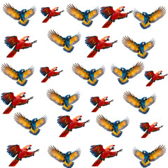 Obraz premium Colorful seamless pattern of flying birds and butterflies in a nature-inspired design