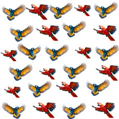 Obraz premium Colorful seamless pattern of flying birds and butterflies in nature