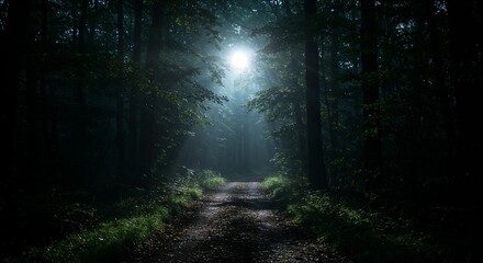 Mystical moonlit forest path with dark ethereal woodland background for esoteric websites, meditation blogs, spiritual journey content, fantasy book covers, and nature-inspired design projects