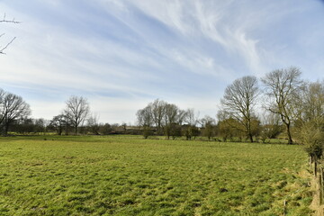 Obraz premium Paysage rural sous les cirrus dans le ciel bleu à Ghislenghien (Ath) 