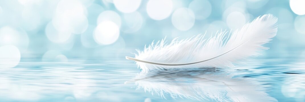Single White Feather on Calm Water - A serene symbolizing peace, tranquility, lightness, hope, and new beginnings. A single white feather floats gently on calm blue water, reflecting the soft light