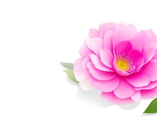 Fototapeta premium Stunning Realistic Happy Women's Day Graphic Design
