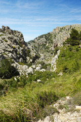 Panorama from the hiking path to the pick de L'ofre, Sierra de Tramuntana, Mallorca, Spain     