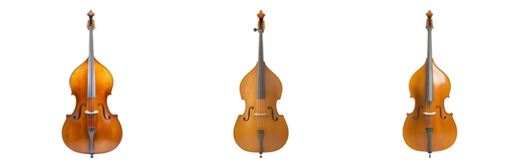 Classic Vintage Double Bass Instruments from Different Angles Isolated on transparent background