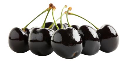 Ripe black cherries hanging on transparent background