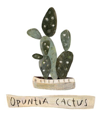 Cute cactus in a pot. Home plant hand drawn illustration watercolor pencil mixed media. Isolated on white background 
