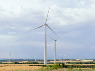 Electric Wind Turbines in a Field