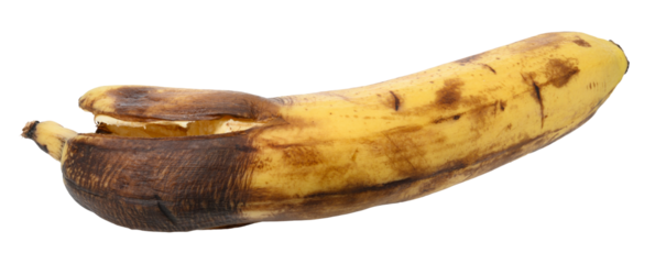 Rotten banana on isolated background