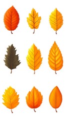 Naklejka premium Autumn leaves in a collection on white