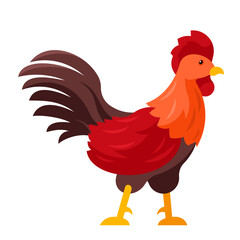 chicken