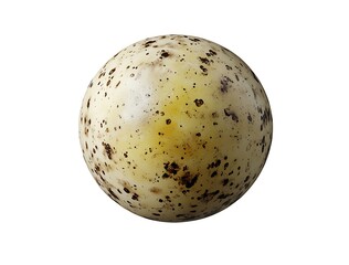 Unique speckled egg on a white background for creative projects