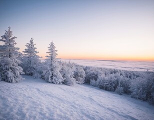 Obraz premium Winter landscape with snow-covered trees at sunrise, creating a serene and tranquil atmosphere.