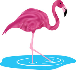 Vector illustration of a pink flamingo standing in water isolated on a transparent background