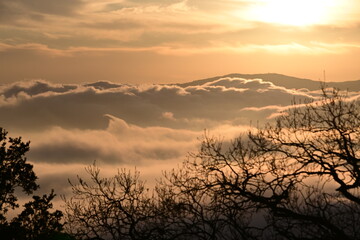 Fototapeta premium sunset over the river