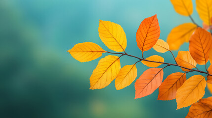 Obraz premium Autumn leaves in shades of yellow and orange on a branch against a soft green blurred background