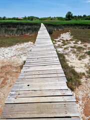 Wooden boardwalk through a marshland under a clear blue sky