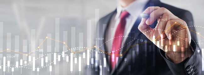 Financial Stock Market Graph. Website Economic Banner