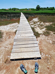Wooden boardwalk through marshland with abandoned flip-flops in foreground