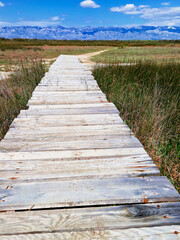 Wooden boardwalk through a marshland under a clear blue sky