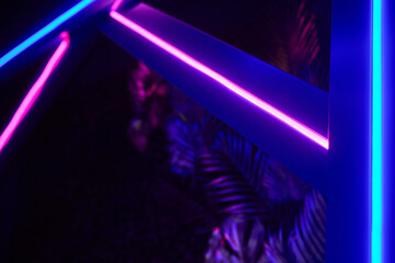 Experience the captivating beauty of Vibrant Neon LED Lighting that offers a Modern Aesthetic