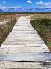 Wooden boardwalk through a marshland under a clear blue sky