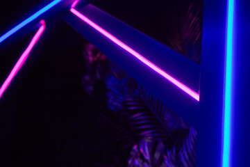Experience the captivating beauty of Vibrant Neon LED Lighting that offers a Modern Aesthetic
