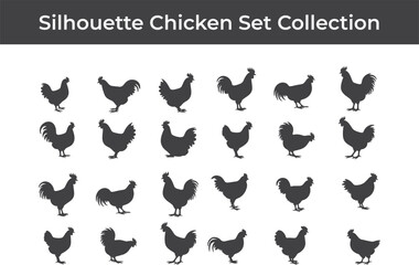 Obraz premium A set of simple black various chicken and rooster silhouette design icon vector logo illustration isolated on white background