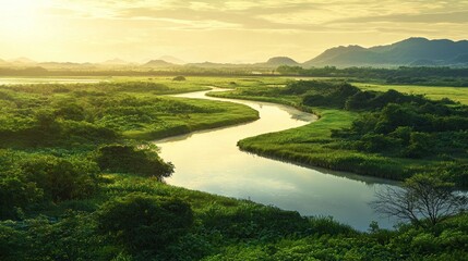 Obraz premium Serene sunset over a meandering river in a lush green landscape.