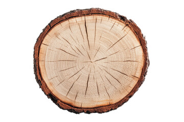Fototapeta premium Wooden tree stump showing growth rings, cut out