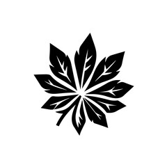 Obraz premium cassava 1