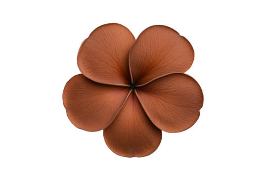 Brown flower, five petals, smooth texture, cut out
