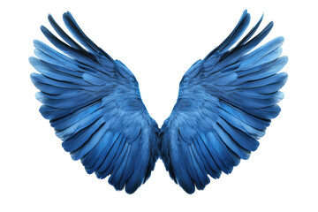 Naklejka premium Vibrant blue wings displayed in symmetrical form, cut out