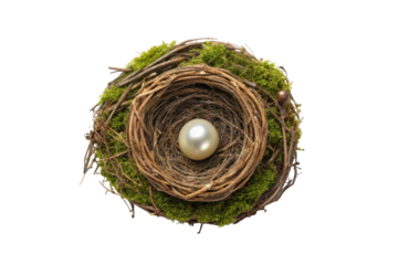 Nest with a pearl resting on soft moss creates a serene and elegant natural design for home decor or spring themes