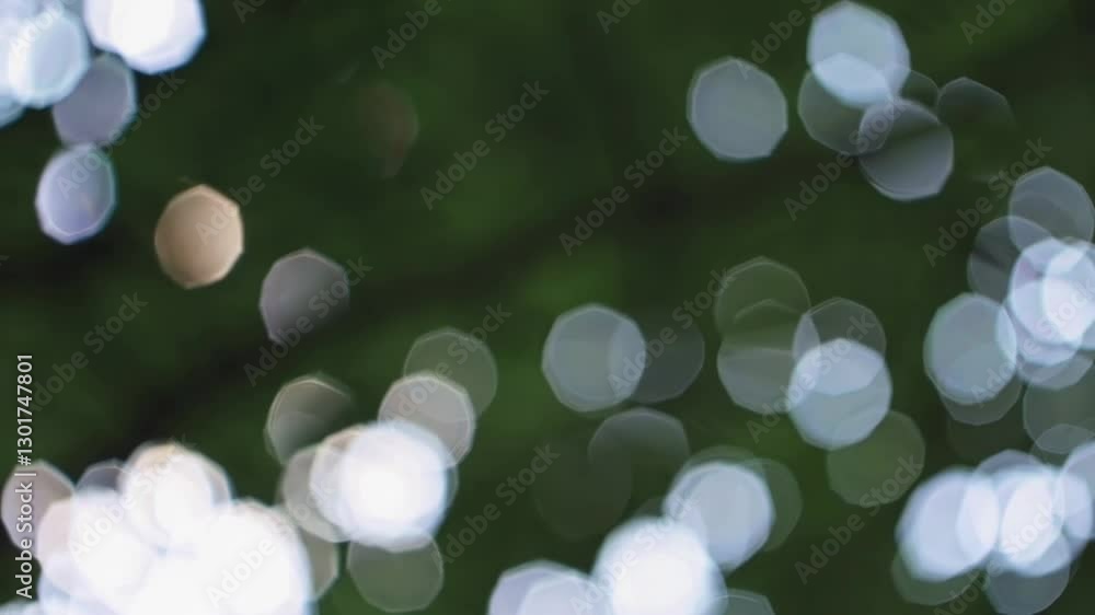 Poster Blurred white bokeh circles on a dark green background creating an abstract pattern