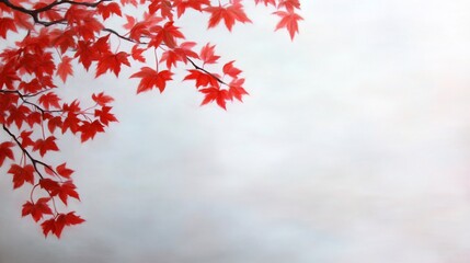 Red maple leaves branch, autumn mist, serene background, nature card