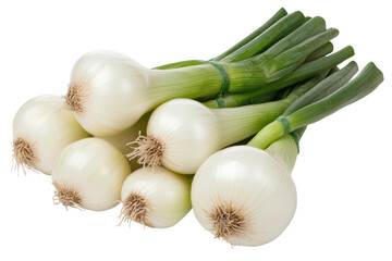 Fresh green onions piled together in a bundle, cut out