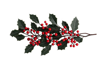 Holiday holly branch with bright red berries, cut out
