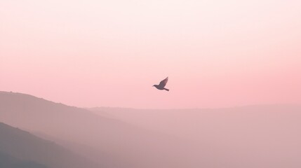 Fototapeta premium Lone bird soaring over misty pink mountains at dawn.