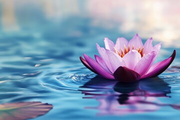 Delicate pink lotus flower floating gracefully on calm water at sunrise reflects serene beauty of nature. Generative AI