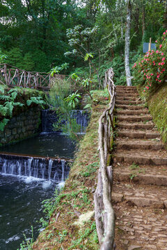 Recreational area in Parque Florestal das Queimadas and Levada do Caldeirao Verde in Madeira, Portugal. 