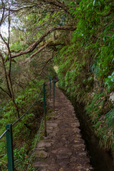 Obraz premium Pathway along the irrigation water canal – Levada do Caldeirao Verde, Madeira. 
