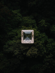 Square-Cut Transparent Diamond on a Dark Green Coniferous Forest Background