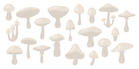 Flat Vector Mushroom Icon Set. Hand Drawn Mushroom Illustrations. Wild Mushroom Collection, Forest Mushroom Elements. Botanical Art, Culinary Designs, Nature Decor. Vector Illustration