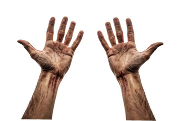 Fototapeta premium Hands stained with dirt and showing signs of hard work after labor in agriculture or construction activities