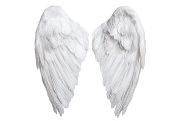 Beautiful white angel wings for decorative use, cut out