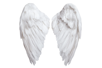 Beautiful white angel wings for decorative use, cut out